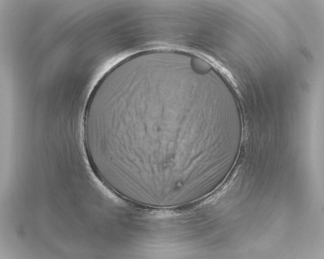 X0000115361239200912011106