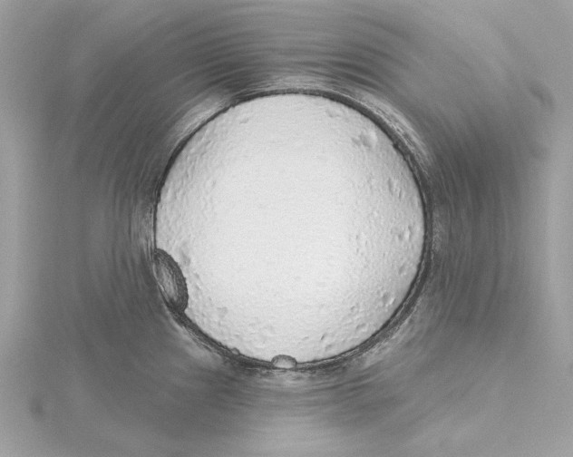 X0000115361241200912011106