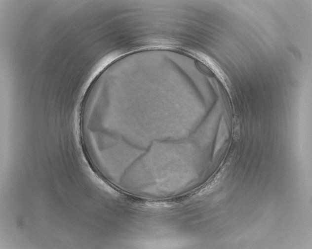 X0000115361243200912011107