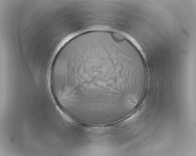 X0000115361245200912011107