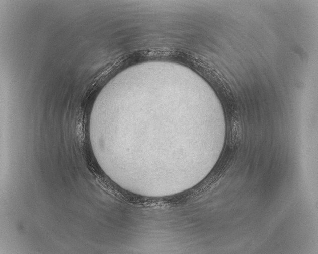 X0000115361250200912011106