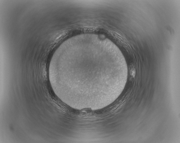 X0000115361252200912011106