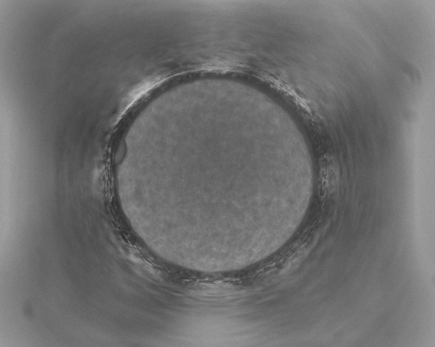 X0000115361256200912011106