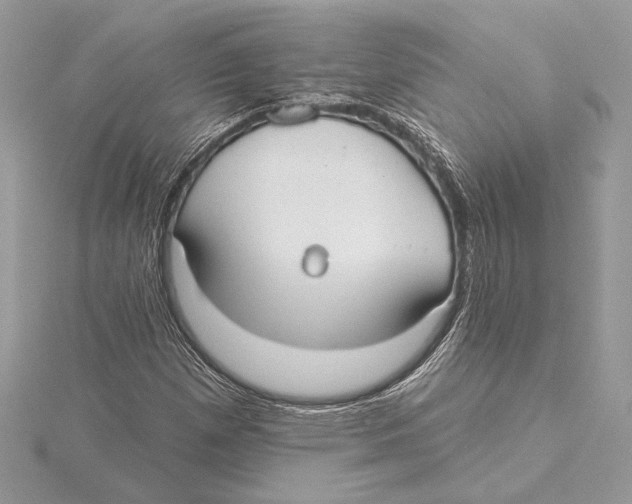 X0000115361257200912011106