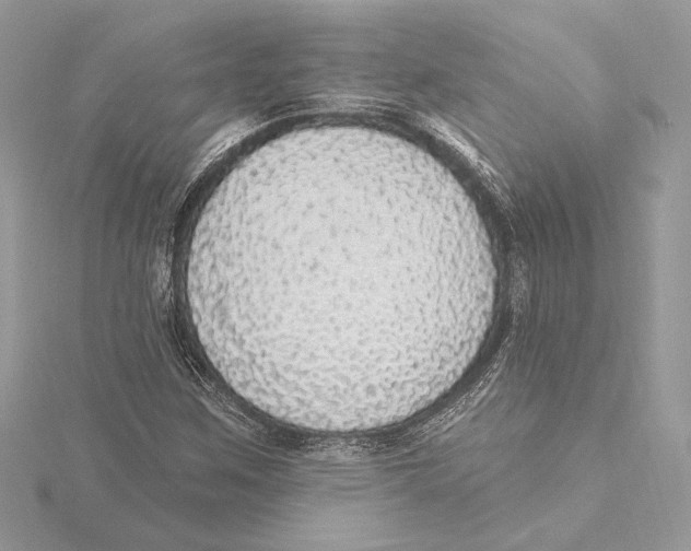 X0000115361259200912011106