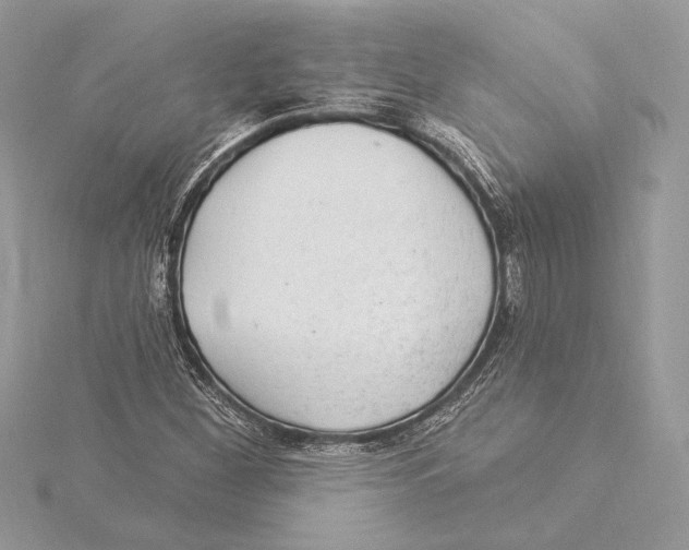 X0000115361260200912011106