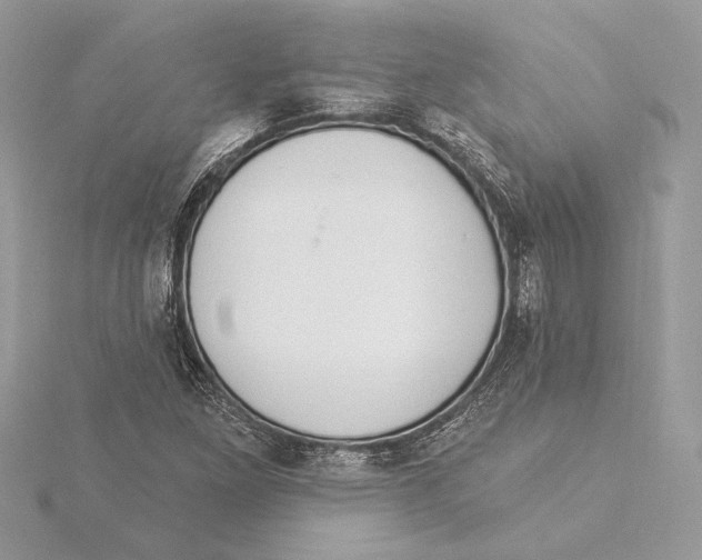 X0000115361261200912011106