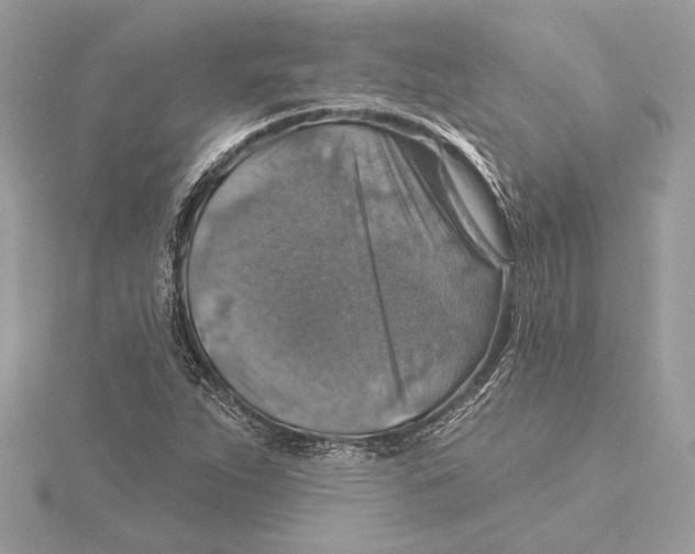 X0000115361263200912011106