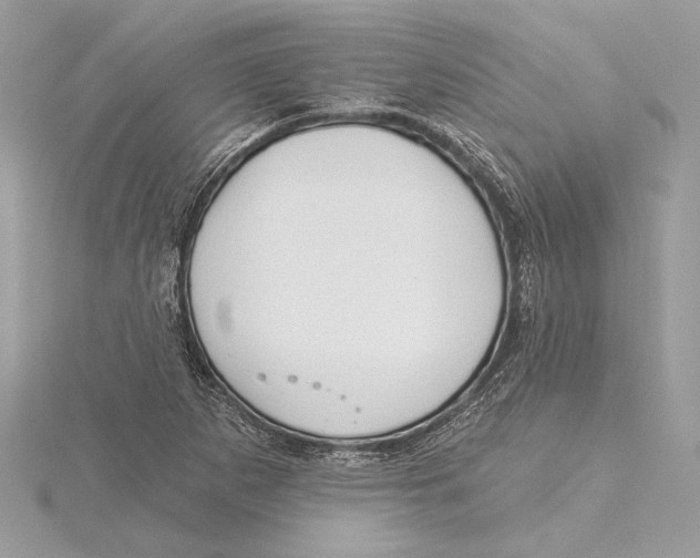 X0000115361265200912011106