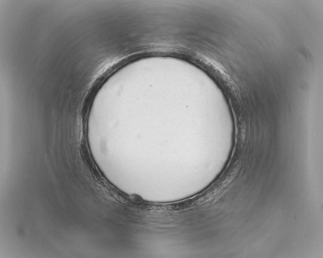 X0000115361267200912011106