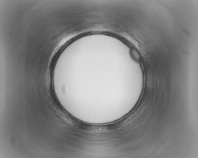 X0000115361270200912011106