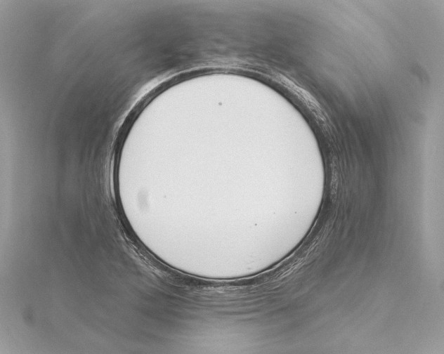 X0000115361272200912011106