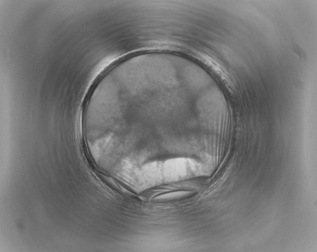 X0000115361275200912011106