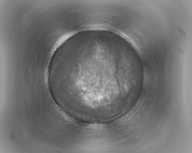 X0000115361277200912011106