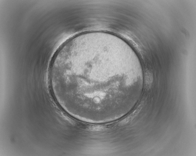 X0000115361278200912011106