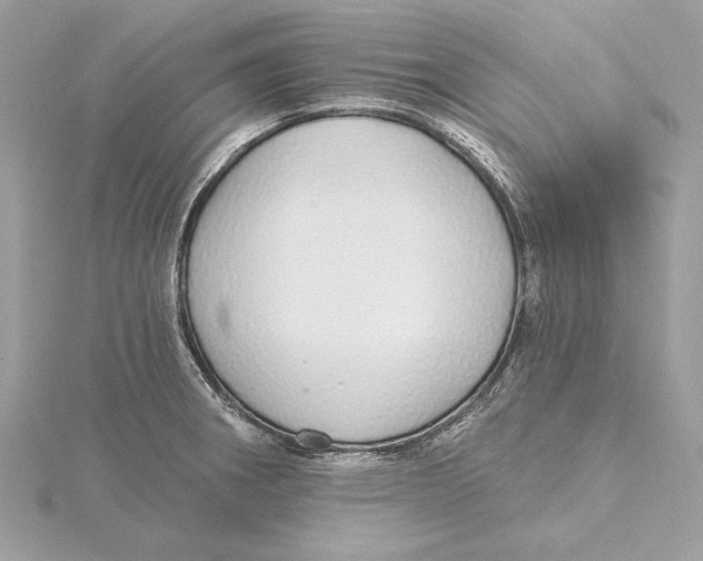 X0000115361282200912011106