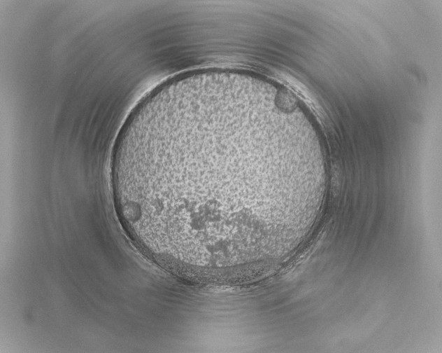 X0000115361283200912011106