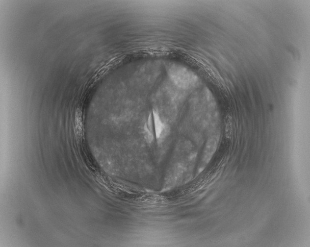 X0000115361298200912011105