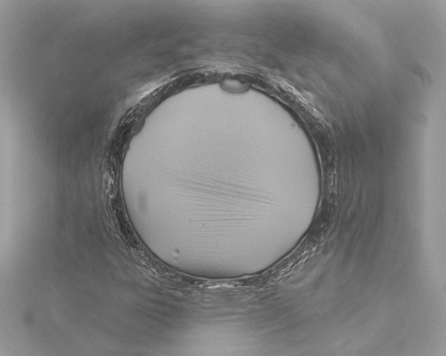 X0000115361303200912011105