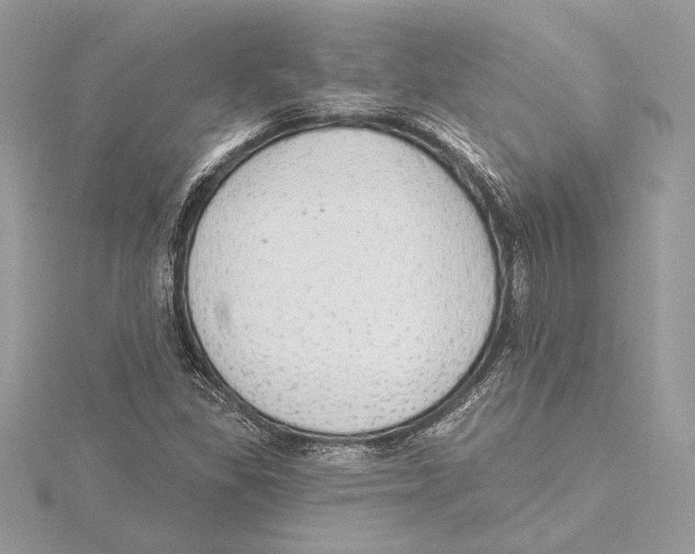 X0000115361309200912011105