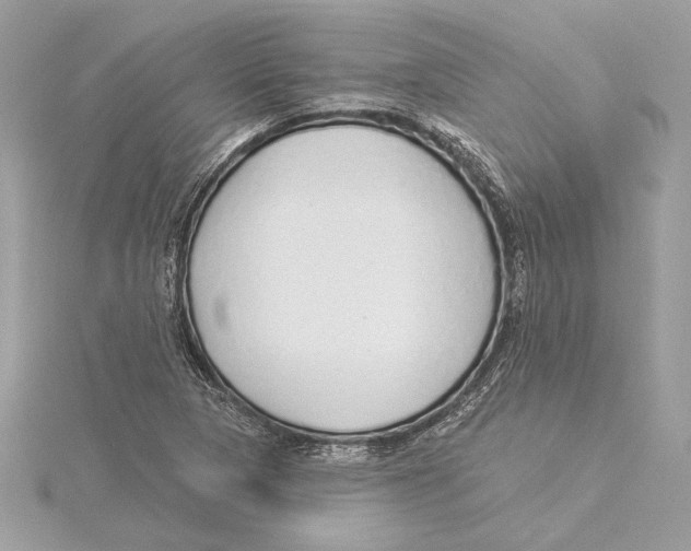 X0000115361313200912011105