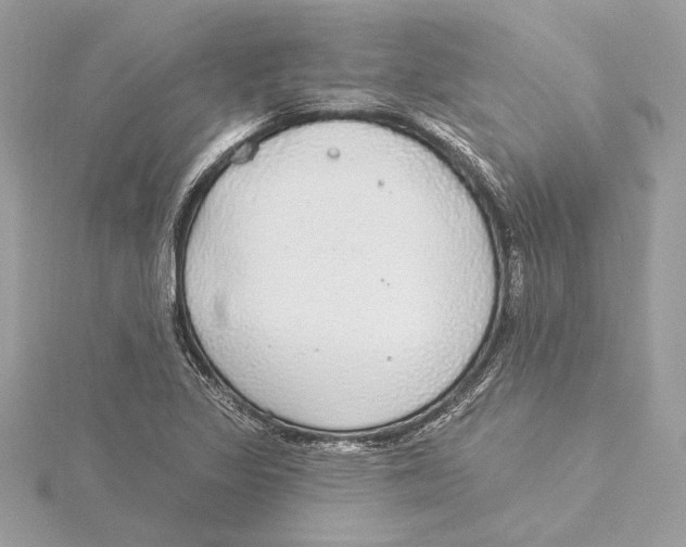 X0000115361317200912011105