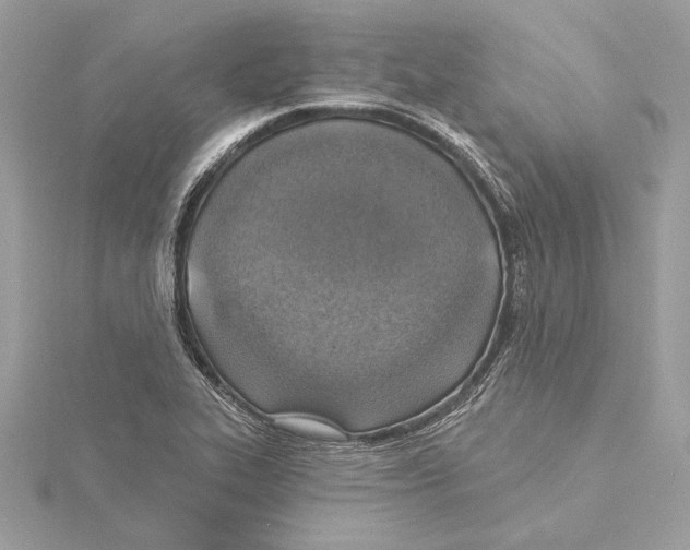 X0000115361319200912011105