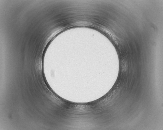 X0000115361322200912011105