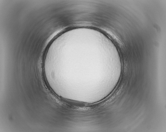 X0000115361325200912011105