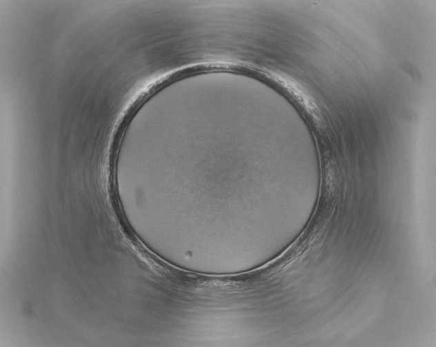 X0000115361327200912011105