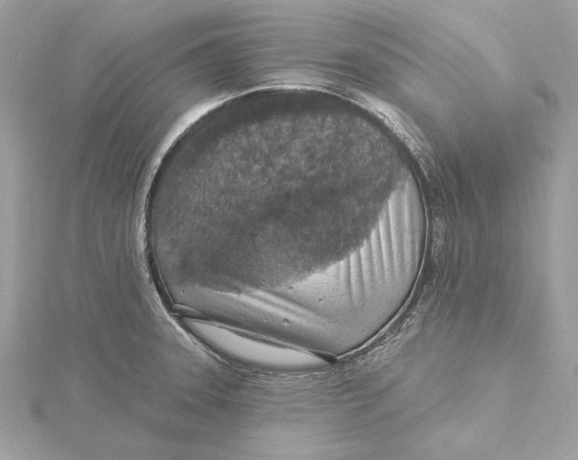 X0000115361331200912011105