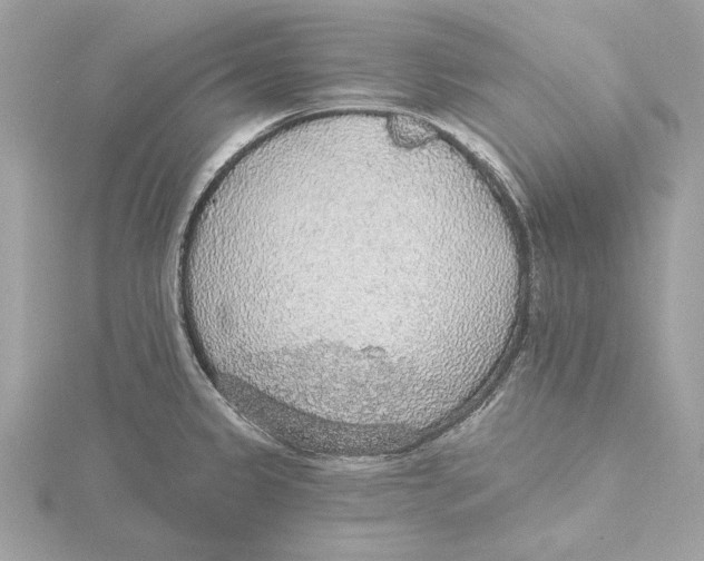 X0000115361333200912011105