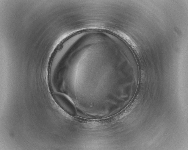 X0000115361334200912011105