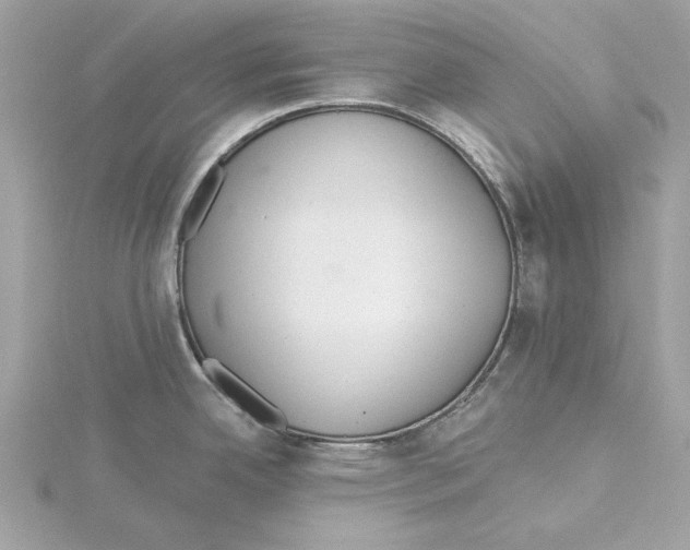 X0000115361342200912011105