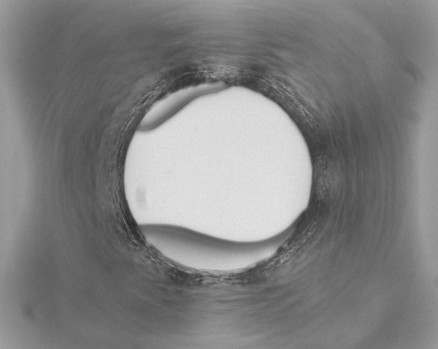 X0000115361345200912011104