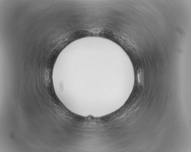 X0000115361347200912011104