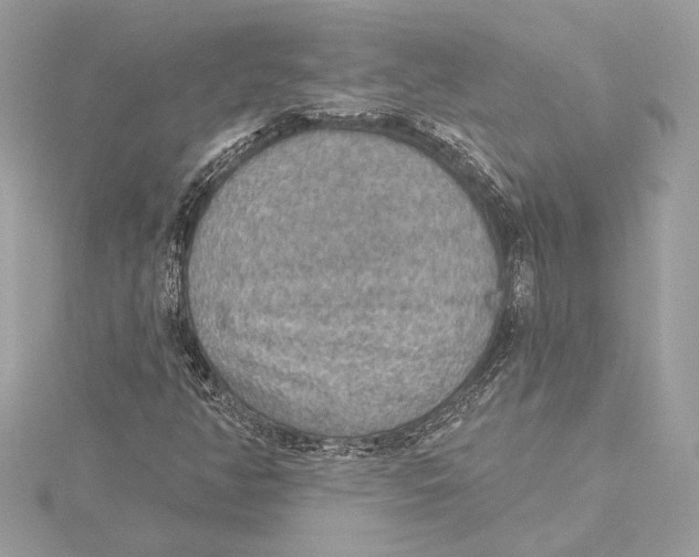 X0000115361350200912011104
