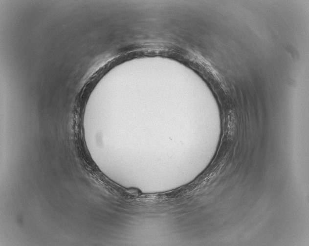 X0000115361352200912011104