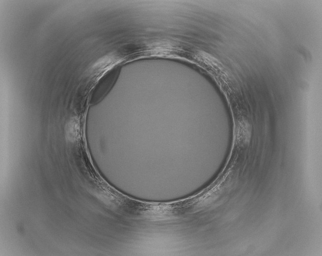 X0000115361353200912011104