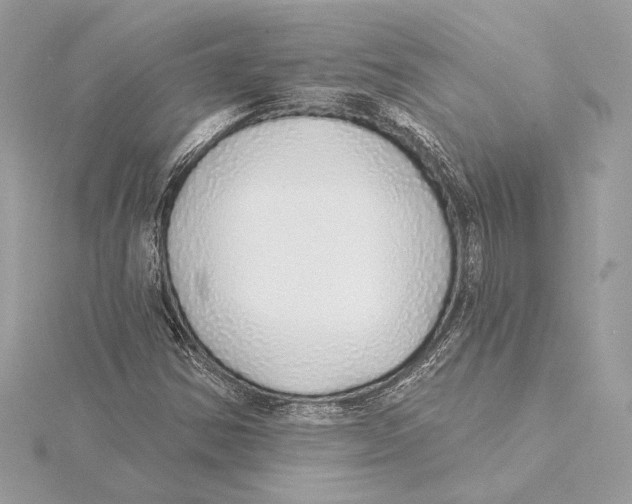 X0000115361354200912011104