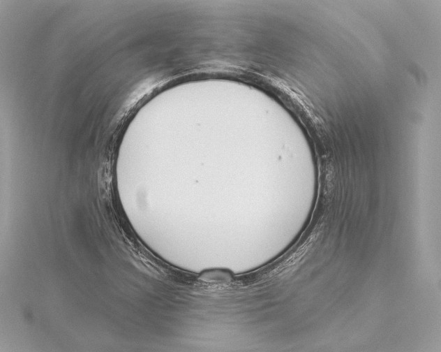 X0000115361355200912011104