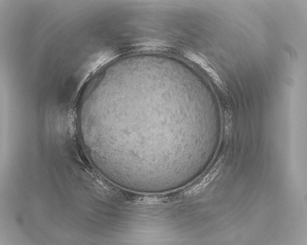 X0000115361357200912011104