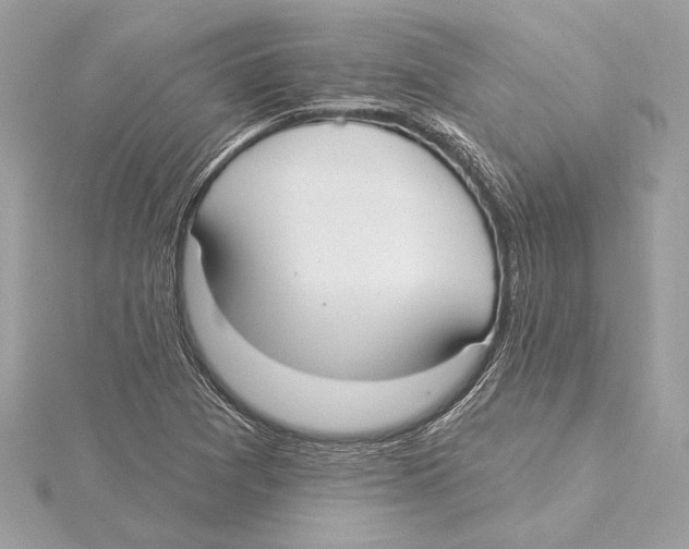 X0000115361361200912011104