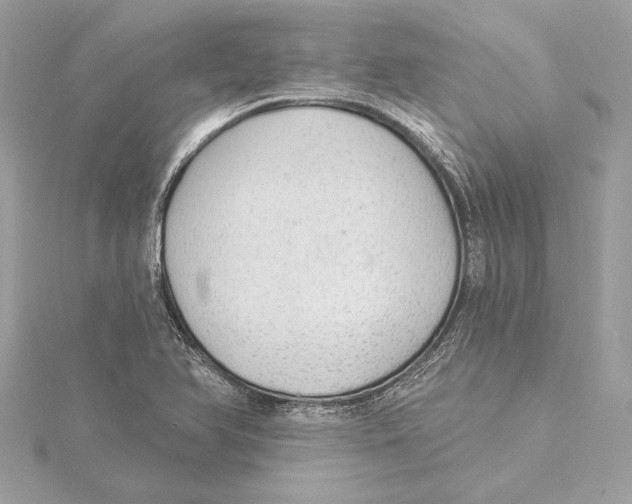 X0000115361366200912011104