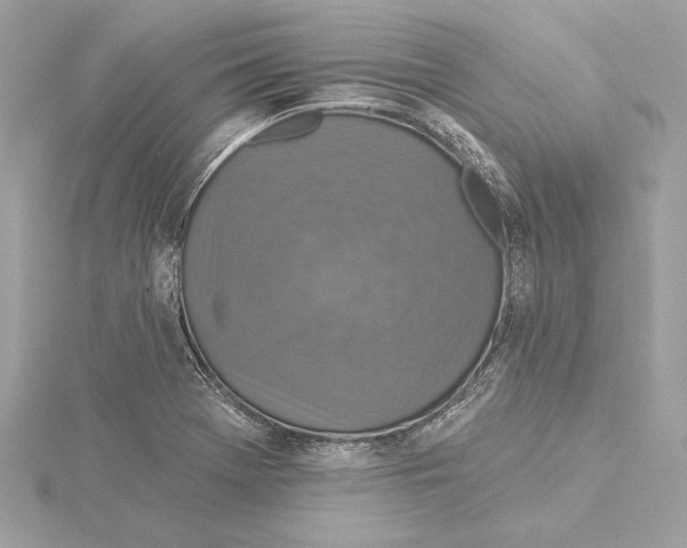 X0000115361369200912011104