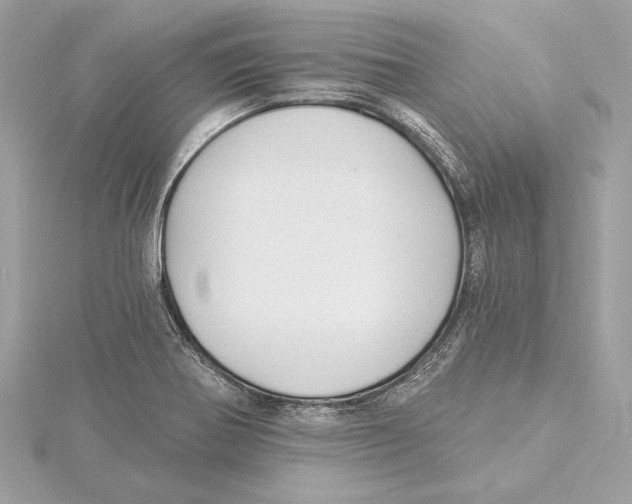 X0000115361370200912011104