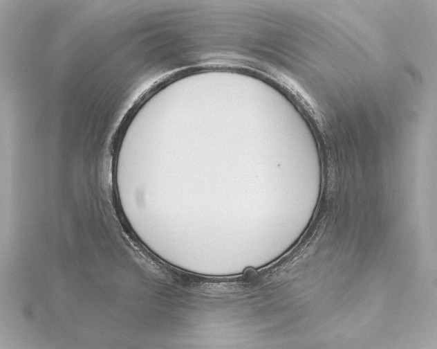 X0000115361376200912011104