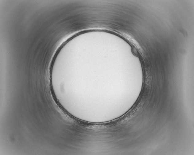 X0000115361380200912011104