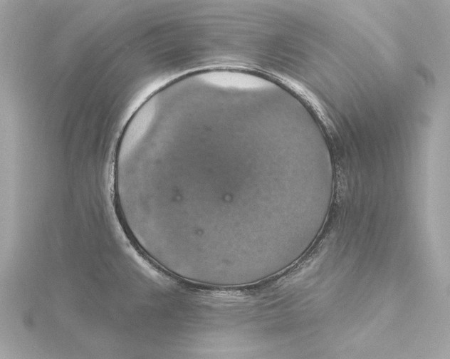 X0000115361383200912011104