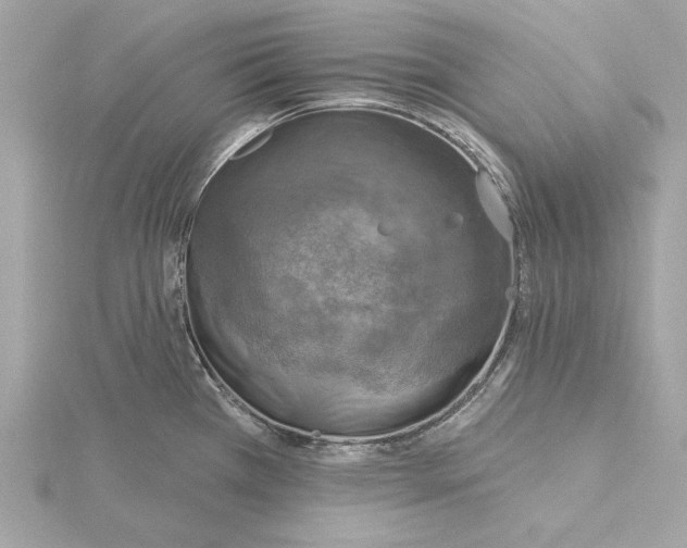 X0000115361385200912011104